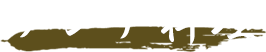 ランチ料理